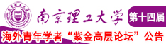 操我,日我.干我南京理工大学第十四届海外青年学者紫金论坛诚邀海内外英才！